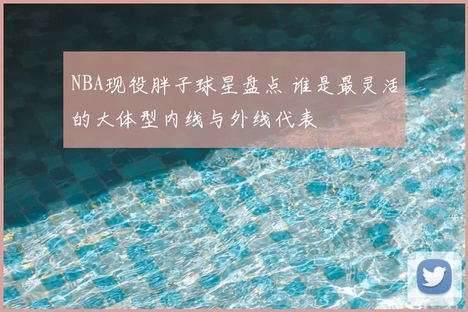 NBA现役胖子球星盘点 谁是最灵活的大体型内线与外线代表