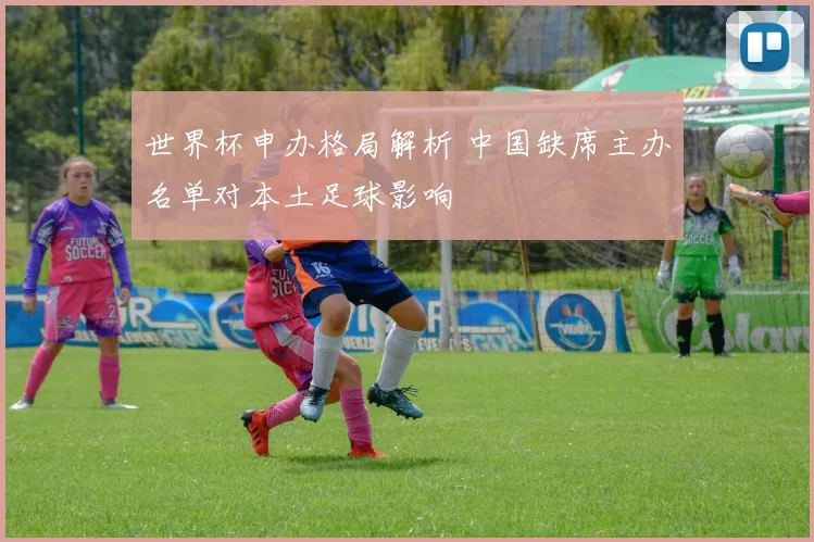 世界杯申办格局解析 中国缺席主办名单对本土足球影响