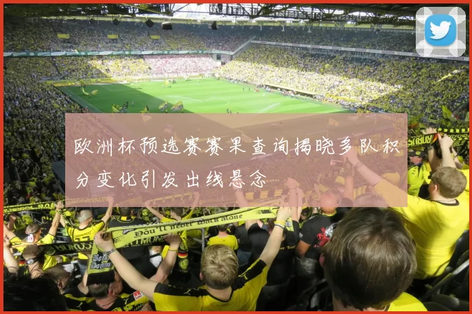 欧洲杯预选赛赛果查询揭晓多队积分变化引发出线悬念