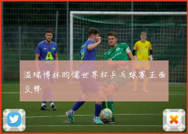 温瑞博林昀儒世界杯乒乓球赛正面交锋