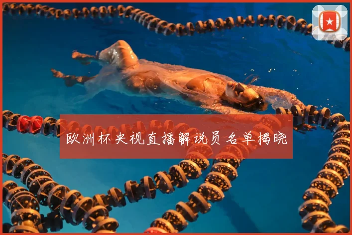 欧洲杯央视直播解说员名单揭晓
