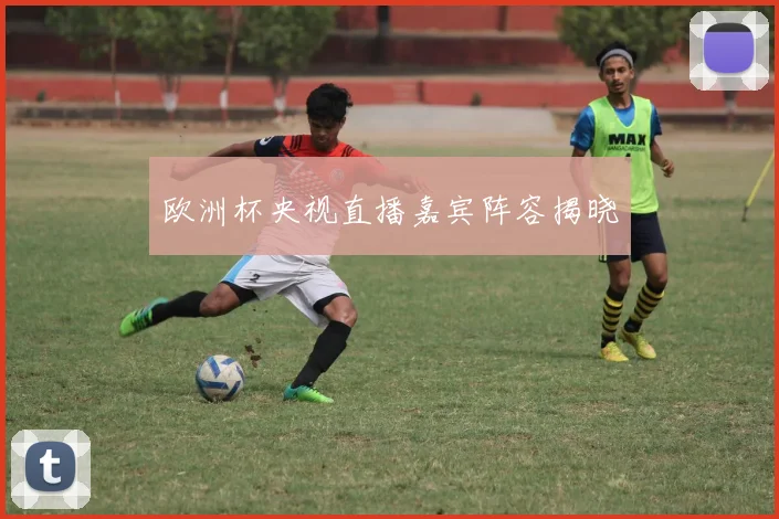 欧洲杯央视直播嘉宾阵容揭晓