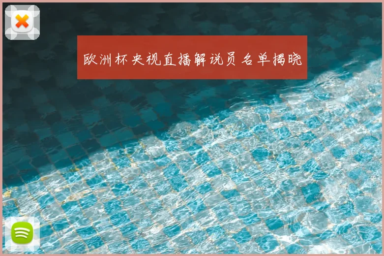 欧洲杯央视直播解说员名单揭晓