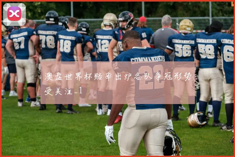 澳盘世界杯赔率出炉各队争冠形势受关注_1