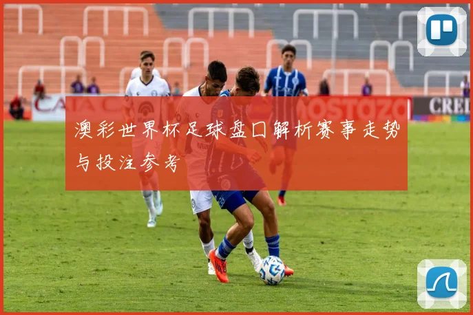 澳彩世界杯足球盘囗解析赛事走势与投注参考