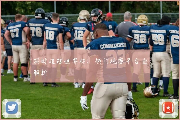 实时追踪世界杯：热门观赛平台全解析